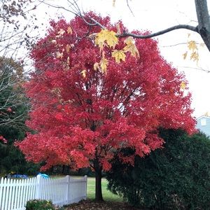 Meet your Posher, Maria vanusia